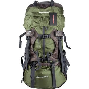 Wasing 55L Hiking Backpack green
